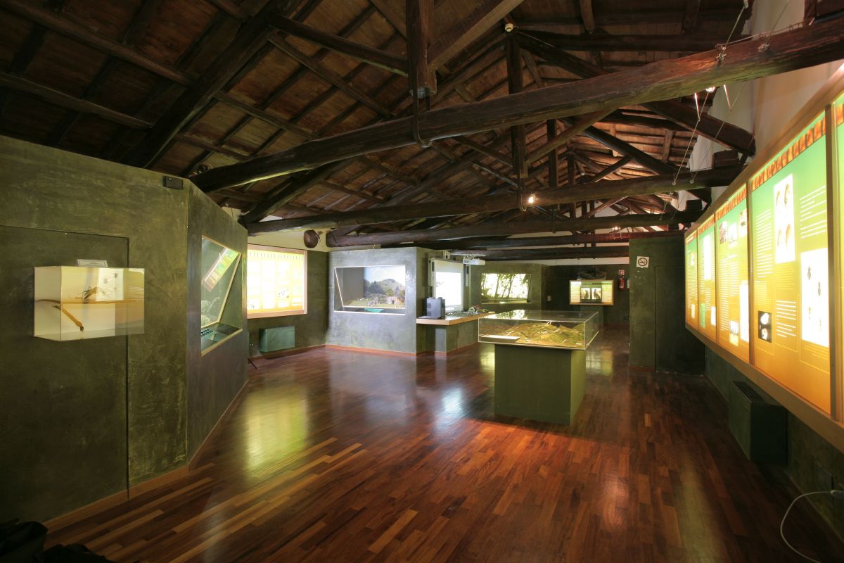 Museo civico naturalistico dei Monti Prenestini.