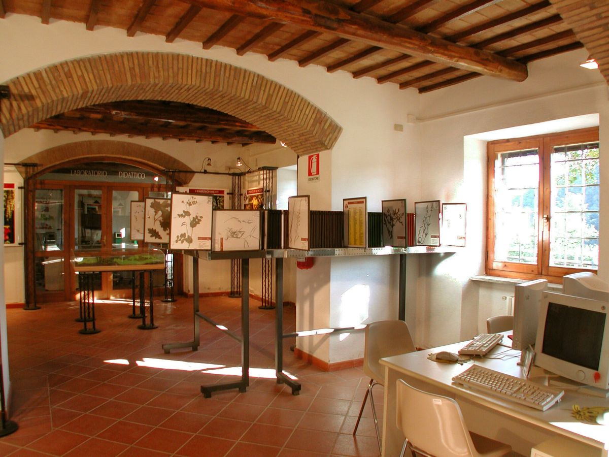 Museo del Fiore.