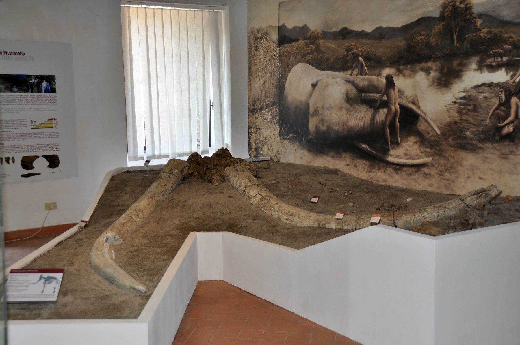 Museo archeologico naturalistico Adolfo Klitsche de la Grange.